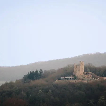 Graf Heinrich Daire *