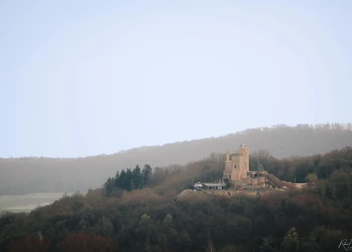 Graf Heinrich Daire *