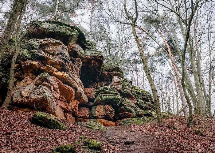 アパート Graf Heinrich